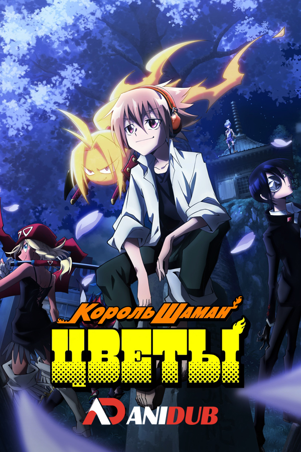 Король шаман: Цветы / Shaman King: Flowers [13 из 13]